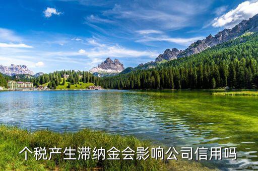 稅收滯納金有什么影響，地稅報(bào)稅逾期產(chǎn)生滯納金會對公司有甚么影響