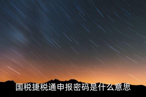 國稅申報登陸密碼是什么意思，國稅第一次網(wǎng)上申報的登陸密碼是什么