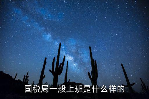 國(guó)稅局司機(jī)算什么工種，國(guó)稅局司機(jī)是干哪些工作的