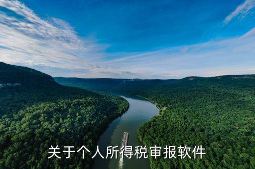 申報個稅的APP叫什么，申報個稅軟件