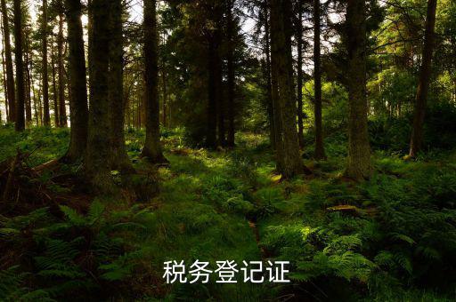 稅務登記證