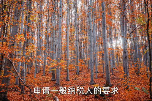 納稅人需求什么，申請(qǐng)一般納稅人的要求