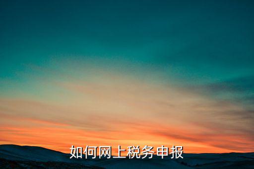 如何網(wǎng)上稅務申報