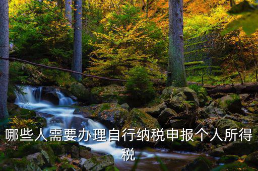 自行申報(bào)納稅是什么，所得稅自行納稅申報(bào)納稅名詞解釋