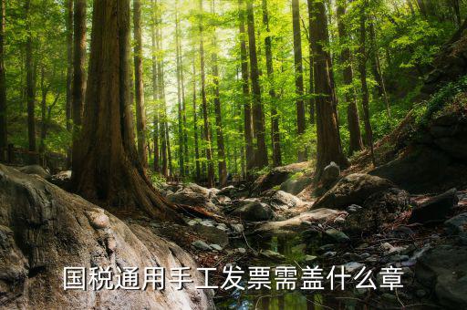 手工發(fā)票需注意什么，關(guān)于手工發(fā)票填開(kāi)的問(wèn)題