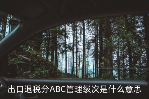 稅務(wù)等級c是什么意思，稅收不能課及C和V部分 CV各是什么