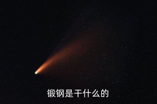 弘遠(yuǎn)泰斯是干什么的，飛踏是干什么的