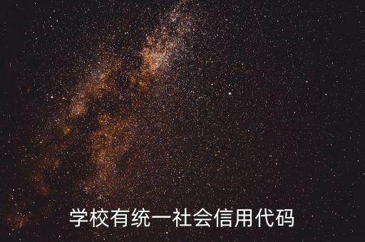 社會(huì)識(shí)別代碼是什么問題，社會(huì)信用代碼是不是納稅人識(shí)別號(hào)