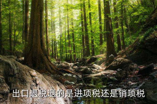 出口退稅退的是什么稅，出口退稅退的是進項稅還是銷項稅