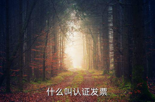 什么叫認(rèn)證發(fā)票，什么叫認(rèn)證增值稅發(fā)票如何認(rèn)證好像還有手工認(rèn)證是怎么回事啊