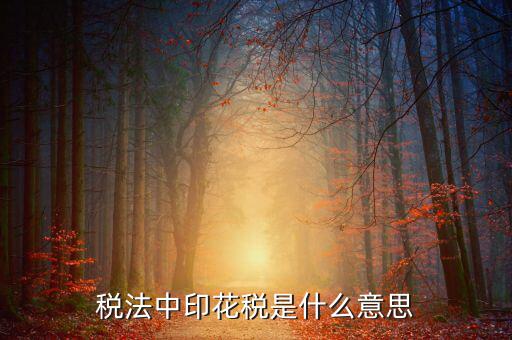 地稅交的5元印花稅是什么意思球鞋，稅法中印花稅是什么意思
