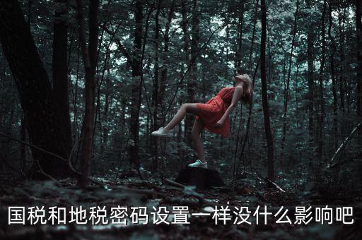 國(guó)稅和地稅密碼設(shè)置一樣沒什么影響吧