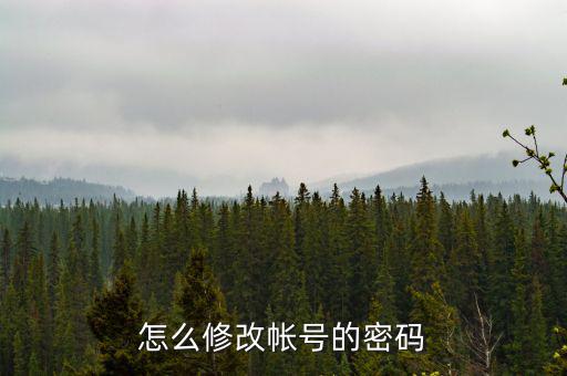 如何修改稅務賬號密碼是什么，山東省國家稅務局網上辦稅平臺納稅人的密碼怎么改