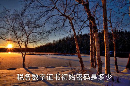 金稅盤(pán)ca密碼是什么，稅務(wù)密鑰是什么東西是數(shù)字證書(shū)嗎
