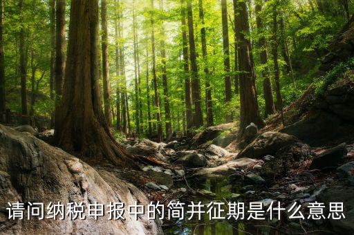 簡并征期是什么意思，期是什么意思