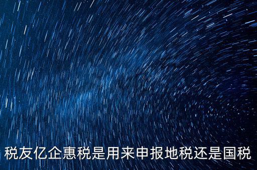稅友報(bào)稅的是什么，稅友億企惠稅是用來申報(bào)地稅還是國稅