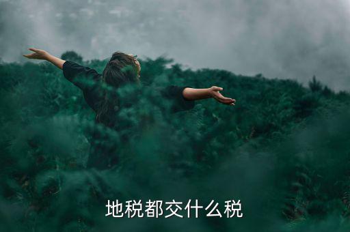 地稅需要報(bào)什么稅種，地稅應(yīng)交哪些稅
