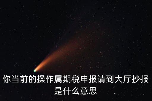抄報(bào) 申報(bào)是什么，你當(dāng)前的操作屬期稅申報(bào)請(qǐng)到大廳抄報(bào)是什么意思