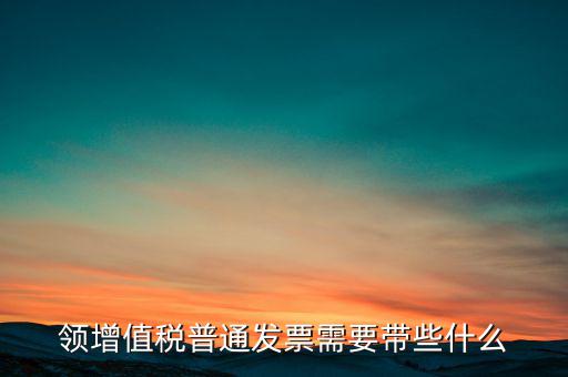 領增值稅普通發(fā)票需要帶些什么