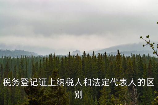 納稅人法定人是什么意思，稅務(wù)登記證上納稅人和法定代表人的區(qū)別