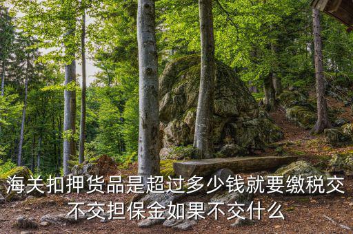 納稅擔(dān)保什么意思，海關(guān)扣押貨品是超過多少錢就要繳稅交不交擔(dān)保金如果不交什么