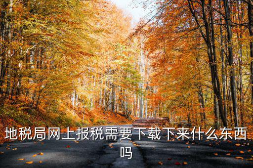 辦地稅都需要什么軟件，地稅網(wǎng)上申報軟件