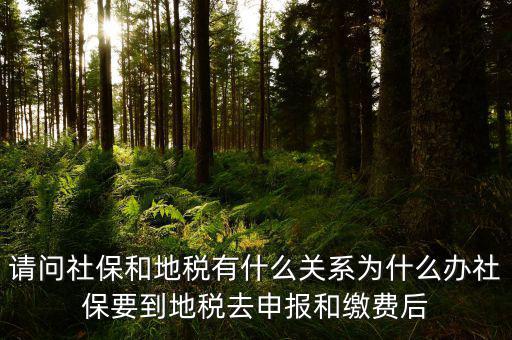 社保和地稅有什么關(guān)系，我現(xiàn)在不知道怎么辦理社保都辦理好了可跟地稅有什么關(guān)系呀