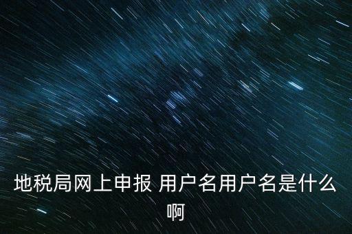 地稅局網(wǎng)上申報(bào) 用戶(hù)名用戶(hù)名是什么啊
