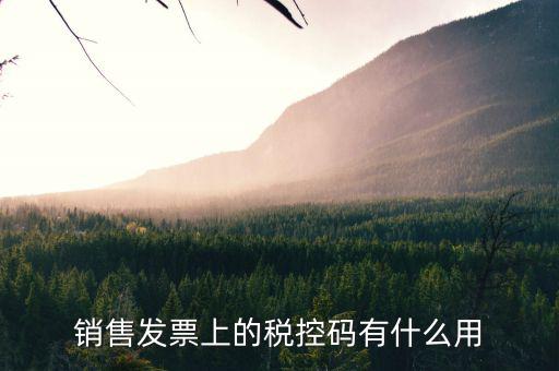 發(fā)票稅控碼是什么，國稅發(fā)票稅控碼