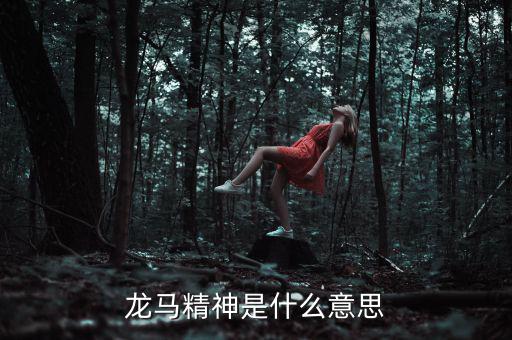 湖北國稅精神是什么意思，神志不清精神不能集中是什么詞的意思