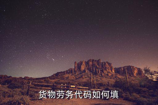 貨物勞務(wù)代碼是什么，貨物勞務(wù)代碼如何填