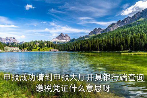 銀行端查詢繳稅憑證蓋什么章，銀行端查詢繳款憑證工會(huì)蓋什么章