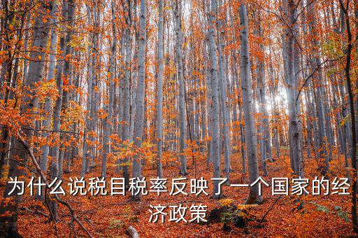 為什么要規(guī)定稅目，稅目是什么意思
