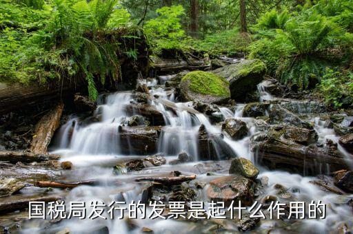 國家稅務局發(fā)票有什么用，發(fā)票有哪些作用呢