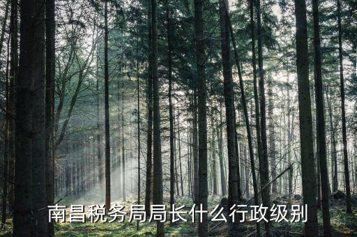 稅務(wù)局局長(zhǎng)是什么級(jí)別，金河鎮(zhèn)稅務(wù)務(wù)局局長(zhǎng)是什么級(jí)別