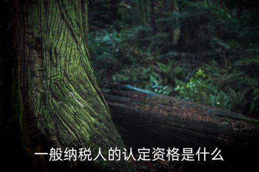 一般納稅人資格證是什么，請(qǐng)問(wèn)一般納稅人應(yīng)有什么證