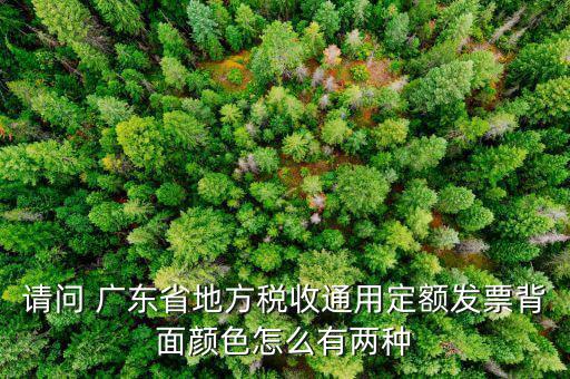 請(qǐng)問 廣東省地方稅收通用定額發(fā)票背面顏色怎么有兩種