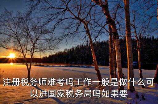 稅務師是什么，注冊稅務師能干什么待遇怎么樣