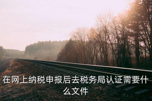在網(wǎng)上納稅申報后去稅務(wù)局認(rèn)證需要什么文件