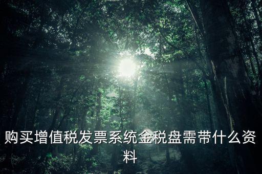 購買金稅盤要什么資料，購買增值稅發(fā)票系統(tǒng)金稅盤需帶什么資料