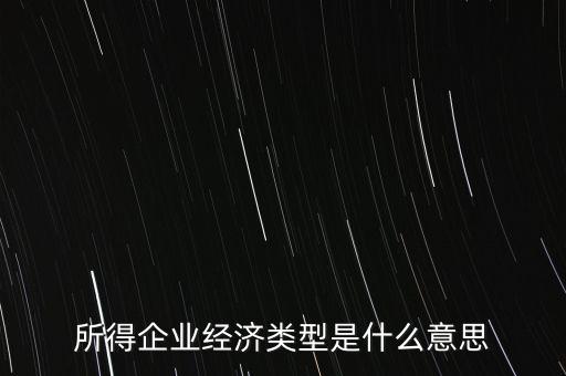 所得項目是什么意思，所得企業(yè)經(jīng)濟類型是什么意思