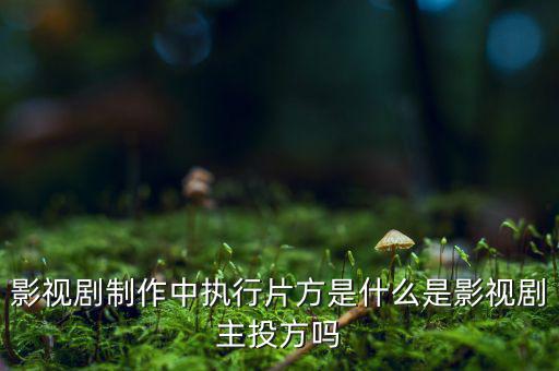 什么是分立主導(dǎo)方，股權(quán)分立是什么意思