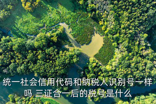 無證合一后稅號是什么意思，五證合一之后怎么查看稅號