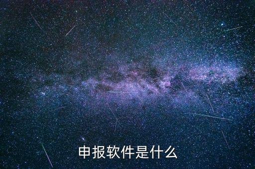 國稅申報軟件叫什么，申報軟件是什么