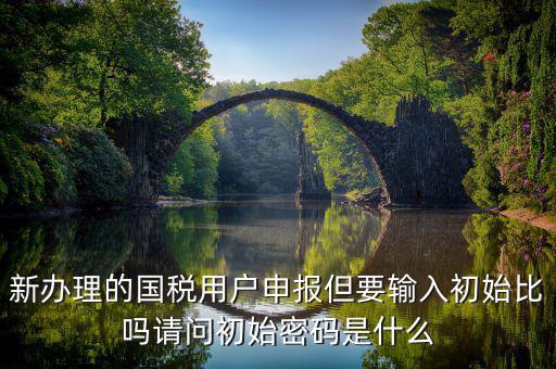 新辦理的國稅用戶申報(bào)但要輸入初始比嗎請(qǐng)問初始密碼是什么