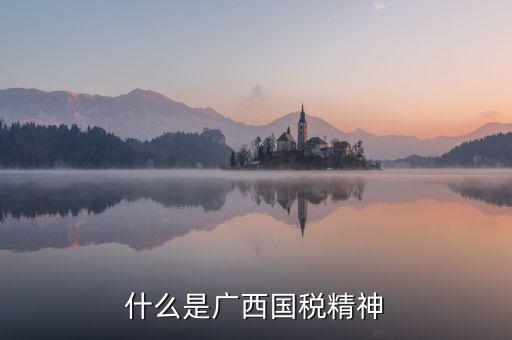 彰顯了什么國稅精神，征集能夠體現(xiàn)地稅精神的口號希望每一個地稅工作者參與討論