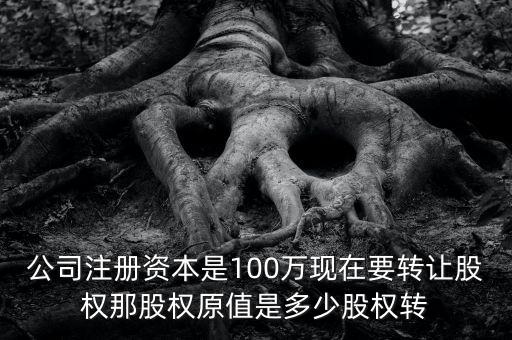 股權(quán)原值是什么意思，公司注冊(cè)資本是100萬現(xiàn)在要轉(zhuǎn)讓股權(quán)那股權(quán)原值是多少股權(quán)轉(zhuǎn)