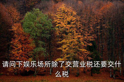 娛樂業(yè)交什么稅，請問下娛樂場所除了交營業(yè)稅還要交什么稅