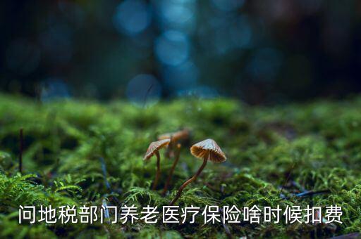 問(wèn)地稅部門(mén)養(yǎng)老醫(yī)療保險(xiǎn)啥時(shí)候扣費(fèi)