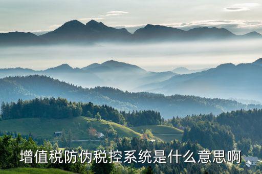 防偽稅控盤是什么，什么是防偽稅控系統(tǒng)金稅請解釋詳細明白點